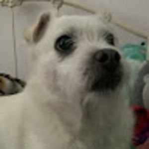 Meet your Posher, Margaret